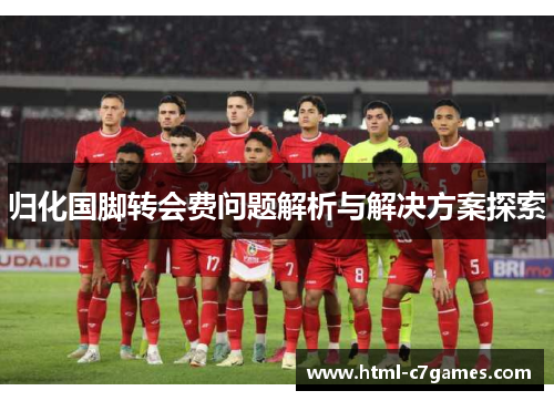 归化国脚转会费问题解析与解决方案探索