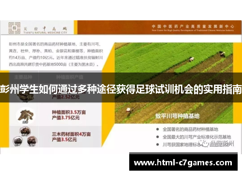 彭州学生如何通过多种途径获得足球试训机会的实用指南
