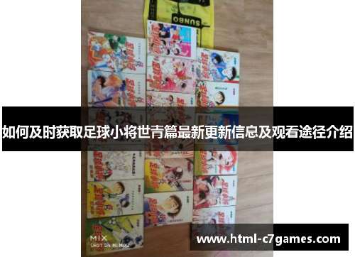 如何及时获取足球小将世青篇最新更新信息及观看途径介绍